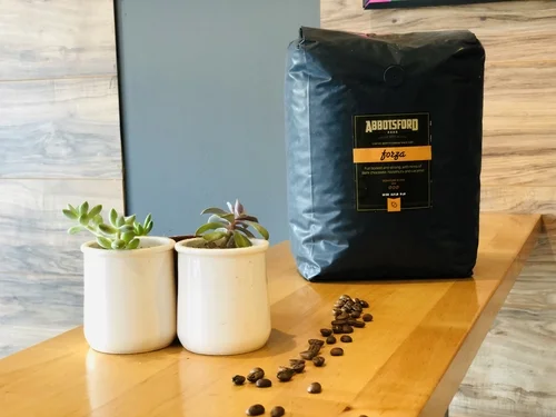 A bag of whole-bean coffee next to two small succulents and scattered beans