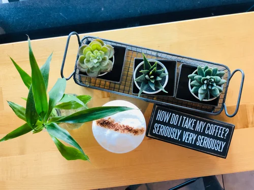A cappuccino with a dusted foam top beside a tray of succulents and a coffee sign