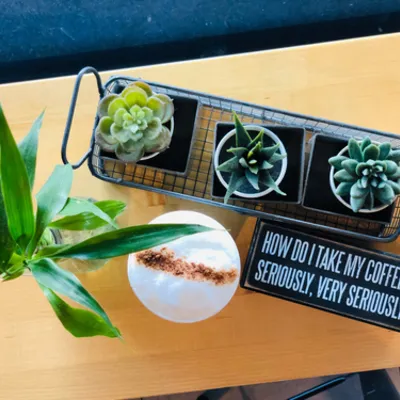 A cappuccino with a dusted foam top beside a tray of succulents and a coffee sign